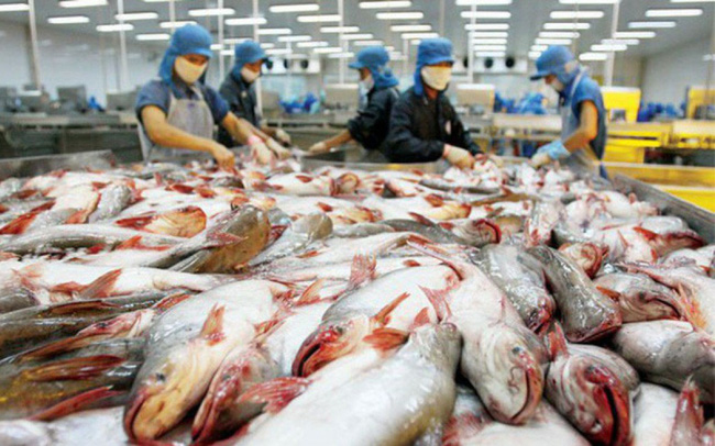 Khối lượng xuất khẩu cá tra Việt Nam sang Mỹ giảm trong QI/2023